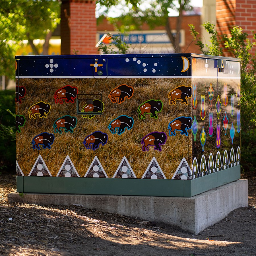 Public Art Wrapping Project – Rudy Black Plume