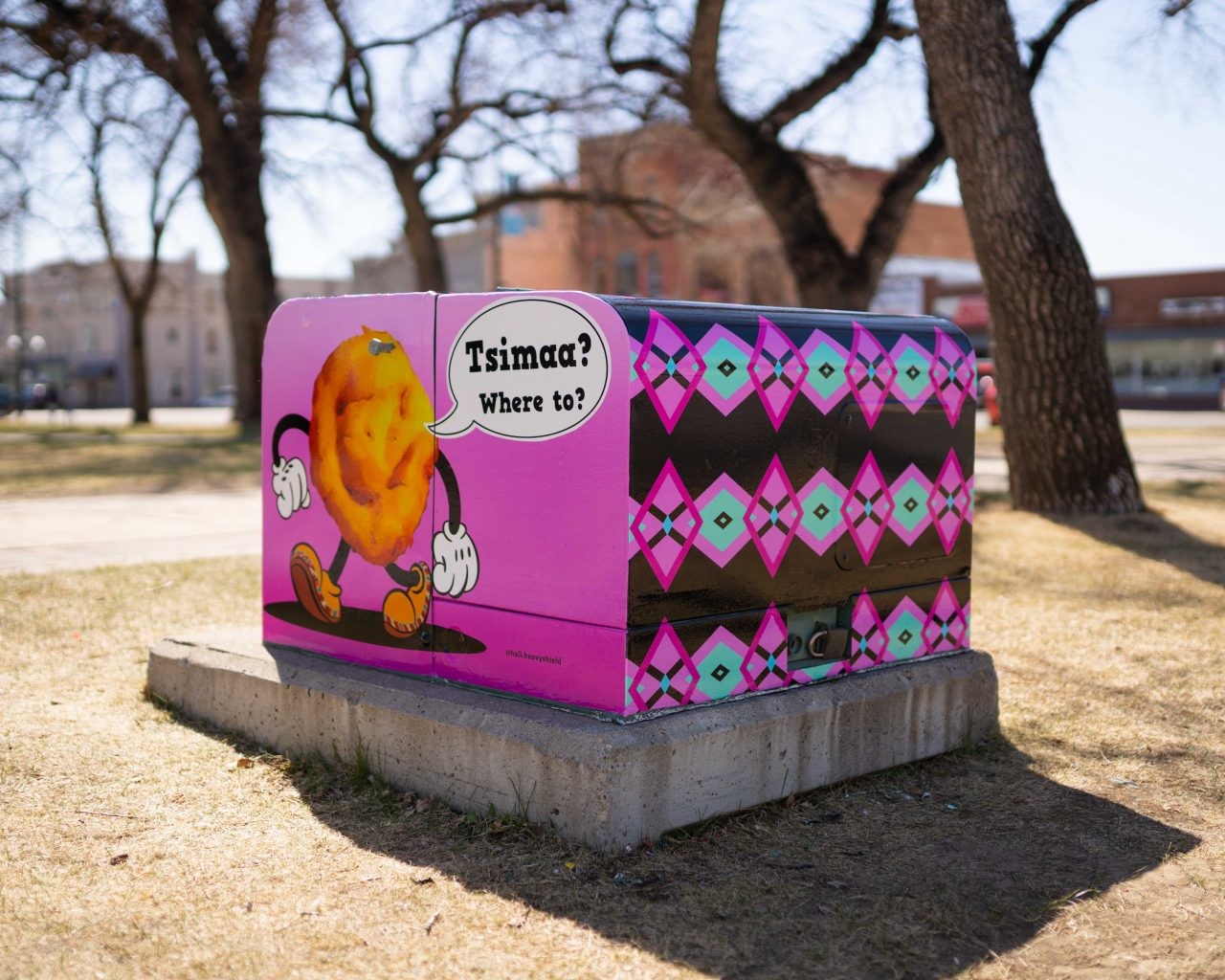 Public Art Wrapping Project – Hali Heavy Shield
